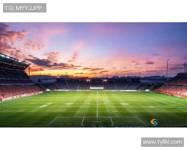 足球人浪的激情与梦想在绿茵场上交织成动人乐章