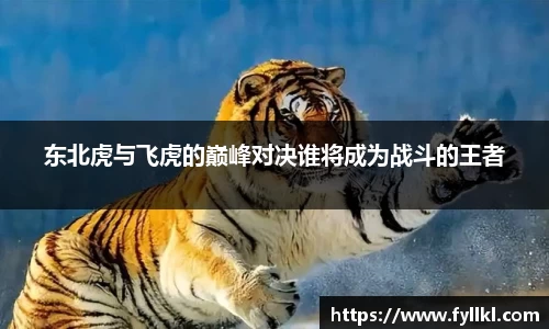 东北虎与飞虎的巅峰对决谁将成为战斗的王者